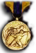 Navy Expeditionary Medal